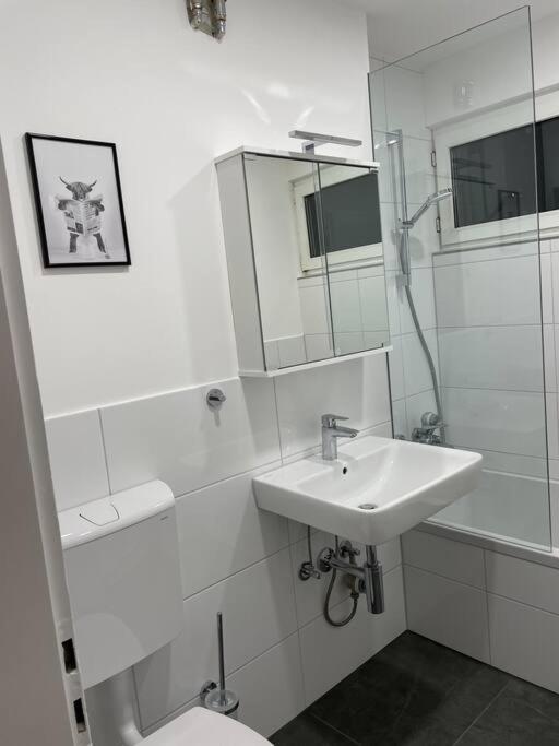 Appartement Penthouse, Offenburg,Europapark Extérieur photo